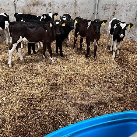 Lacken Farmyard Kilmihil Eksteriør bilde