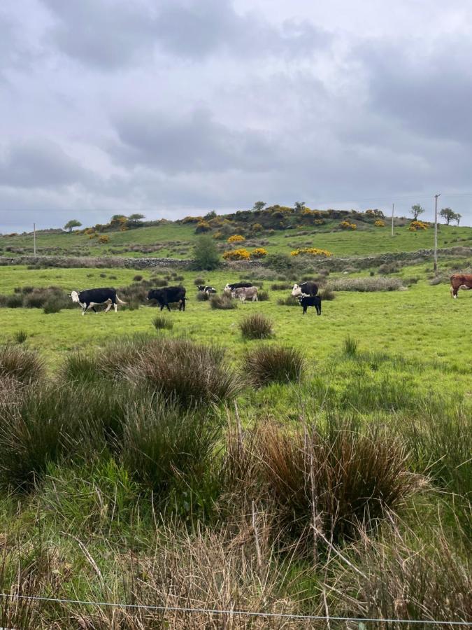 Lacken Farmyard Kilmihil Eksteriør bilde