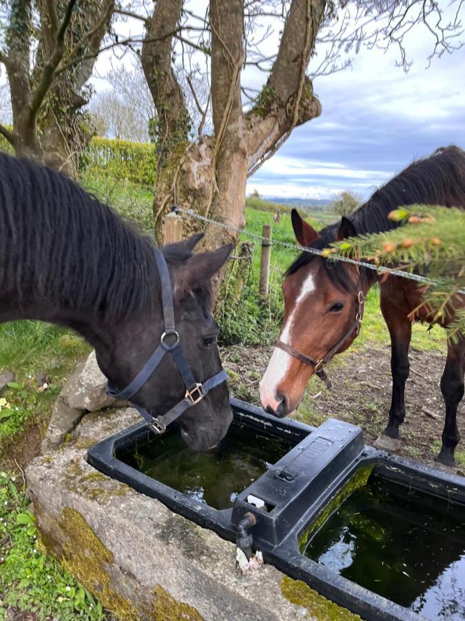 Lacken Farmyard Kilmihil Eksteriør bilde