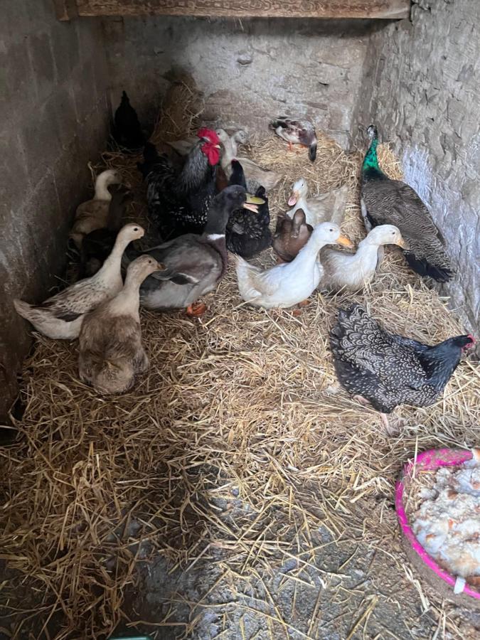 Lacken Farmyard Kilmihil Eksteriør bilde